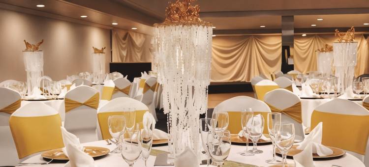 夏洛特机场丽笙酒店(Radisson Hotel Charlotte Airport)图片