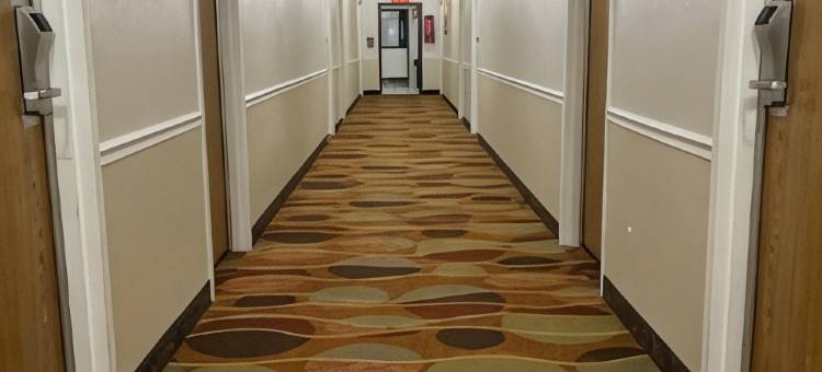 维斯维尔Travelodge by Wyndham(Travelodge by Wyndham Wytheville)图片