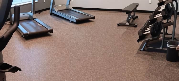 贝斯特韦斯特优质沙漠景观优质套房酒店(Best Western Plus Desert View Inn  Suites)图片