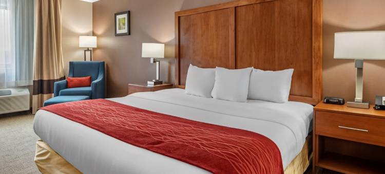 劳伦斯堡舒适酒店(Comfort Inn & Suites)图片