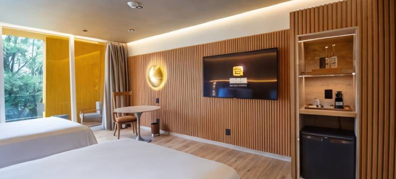 墨西哥城卡米奥里尔波兰科酒店(Camino Real Polanco Mexico)图片