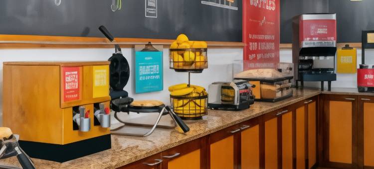 埃伦顿/布雷登顿欢朋酒店(Hampton Inn Ellenton/Bradenton)图片