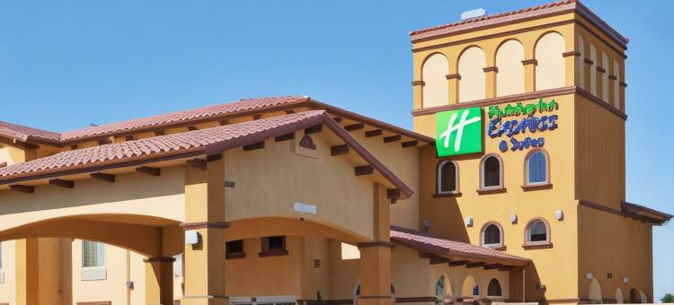 智选假日套房酒店柳树(Holiday Inn Express & Suites WILLOWS by IHG)图片