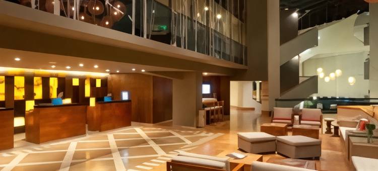 万豪图斯特拉-古铁雷斯酒店(Marriott Tuxtla Gutierrez Hotel)图片