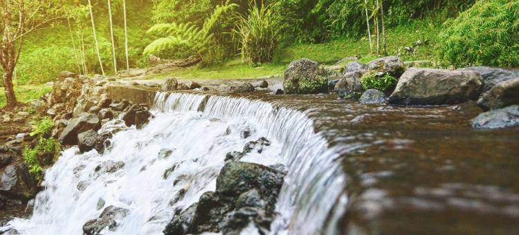 红多兹伊斯兰酒店-近奇马坎RSUD(RedDoorz Syariah Near Rsud Cimacan)图片