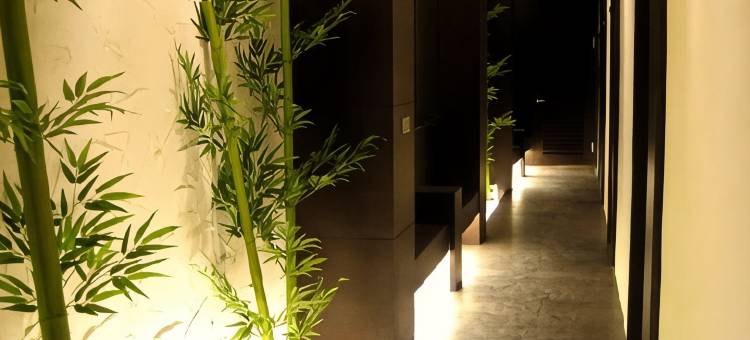 花莲养和屋图片