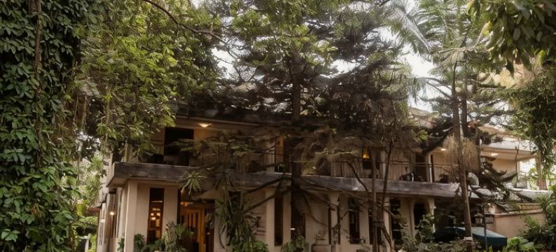 图利亚精品 Spa 酒店(Tulia Boutique Hotel & Spa)图片