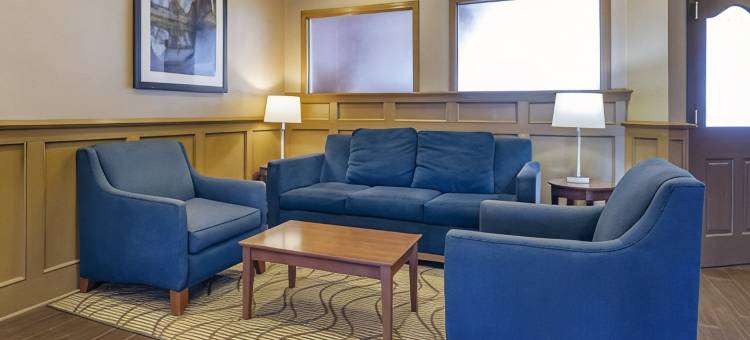 舒适套房酒店-拉芬列克星敦I-81和I-64附近(Comfort Inn & Suites Raphine - Lexington Near I-81 and I-64)图片