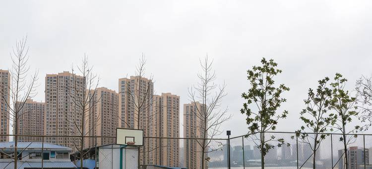 兰兰熊民宿(观月大桥分店)图片