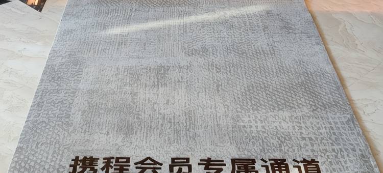 Pagoda君亭设计酒店(上海西站白厦店)图片