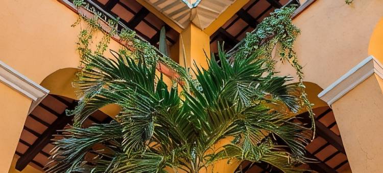 艾尔康文托酒店(Hotel El Convento)图片