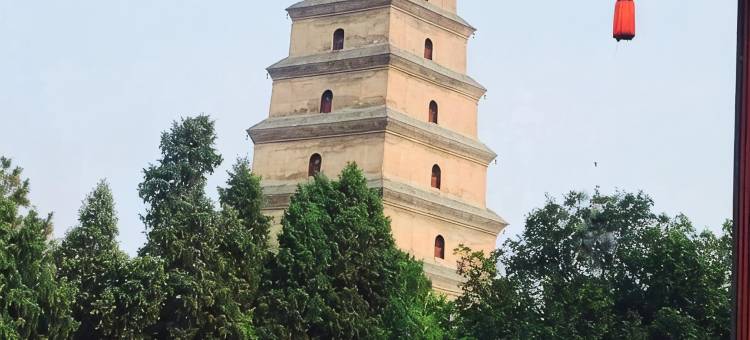锦铂逸轩(西安小寨地铁站店)图片