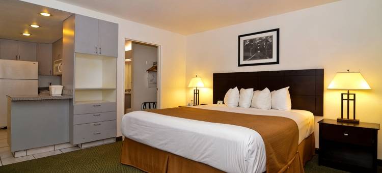 枣树贝斯特韦斯特酒店(Best Western Date Tree Hotel)图片
