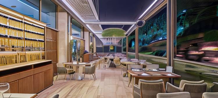 伊斯坦布尔图斯拉希尔顿逸林酒店(DoubleTree by Hilton Istanbul - Tuzla)图片