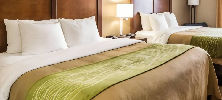 阿尔贝维尔US431凯艺酒店(Quality Inn Albertville US 431)图片