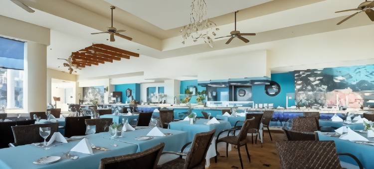 土坎昆西方全包式度假村(Occidental Tucancún - All Inclusive)图片