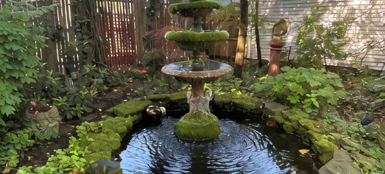 历史街区配有美丽花园的迷人小屋-步行5分钟到镇上(Charming Cottage in Historical Dist with Beautiful Gardens-5 Minute Walk to Town)图片