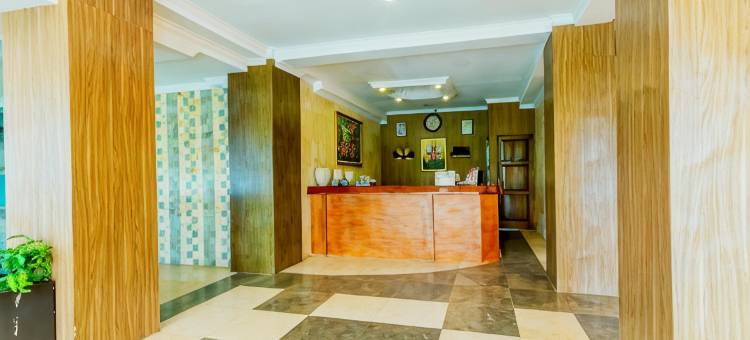 阿尔比斯酒店(Albis Hotel)图片