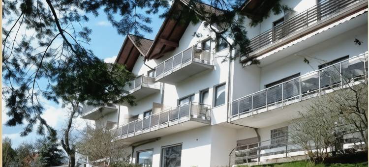 路易丝磨坊酒店(Hotel Luisen Mühle)图片