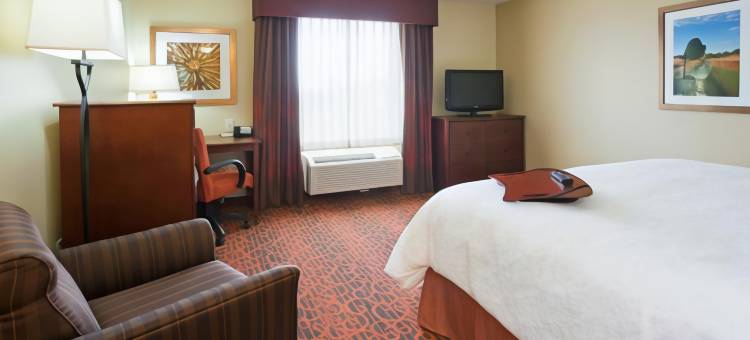 迈诺特欢朋酒店及套房(Hampton Inn & Suites Minot Airport)图片