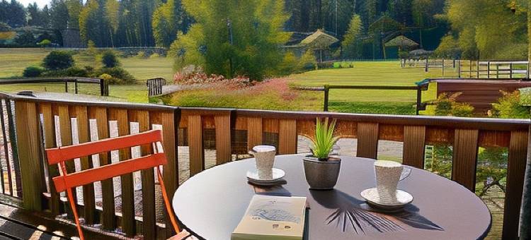 必果斯谷仓酒店(Hôtel les Granges de Bigose)图片