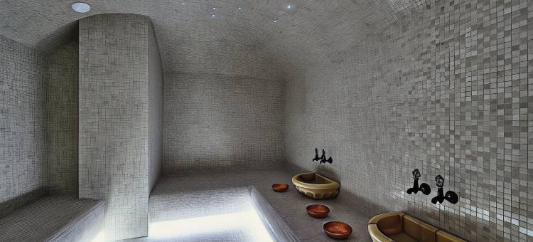 克拉斯诺亚尔斯克中心诺富特酒店(Novotel Krasnoyarsk Tsentr Hotel)图片