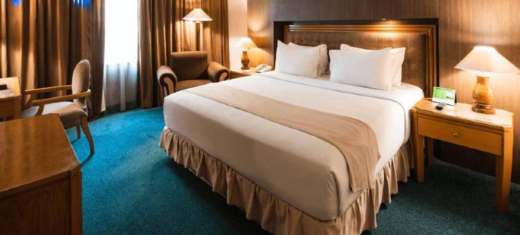 阿米尔绿洲酒店(Oasis Amir Hotel)图片