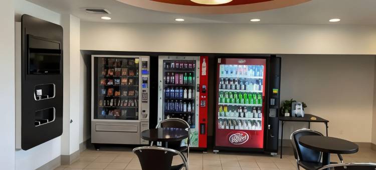 威利斯顿温德姆呗盟酒店(Baymont by Wyndham Williston)图片