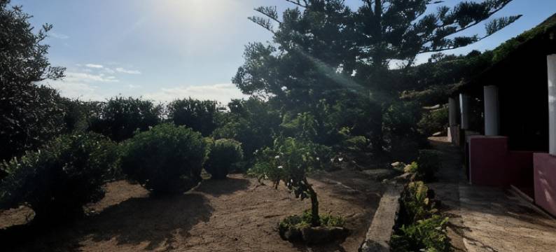 洛萨别墅酒店(Villa la Rosa)图片