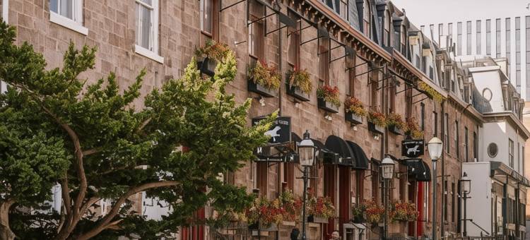 Sonder the Sloan图片