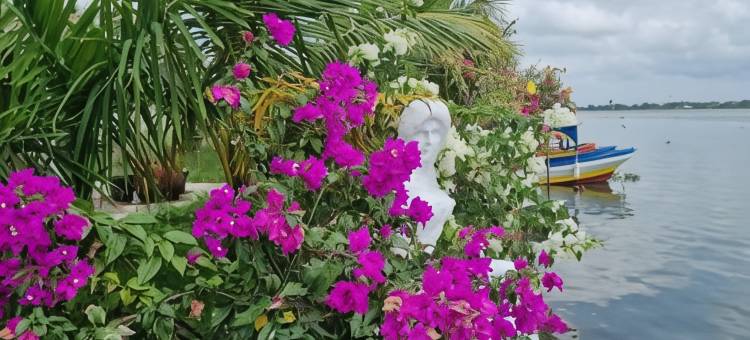 蓝河酒店(Hotel River Blue)图片