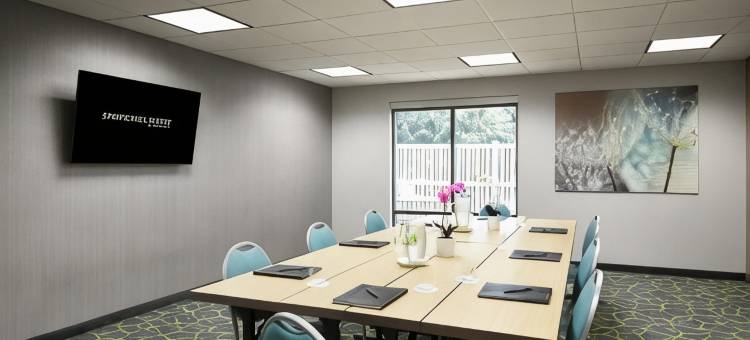 圣路易斯机场/地球城SpringHill套房酒店(SpringHill Suites St. Louis Airport/Earth City)图片