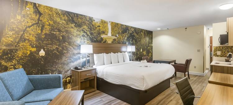 萨凡纳盖特威I-95凯隆波因特酒店(Clarion Pointe Savannah Gateway I-95)图片