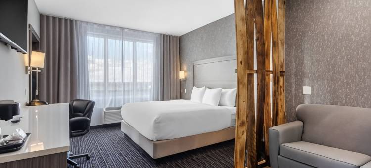 舒适套房酒店(Comfort Inn & Suites)图片