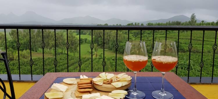瓦隆葡萄园酒店(Vallonne Vineyards)图片