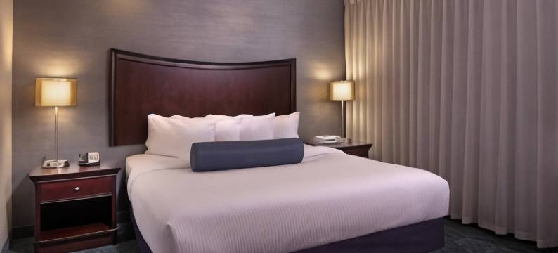 巴尔的摩市中心／内港万豪SpringHill酒店(SpringHill Suites Baltimore Downtown/Inner Harbor)图片