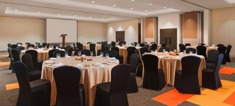 伊洛伊洛丽笙柏林酒店(Park Inn by Radisson Iloilo)图片