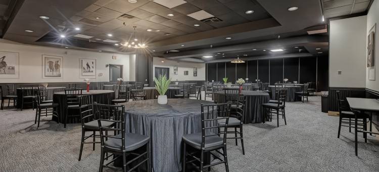 Hotel Lex, Trademark Collection by Wyndham图片