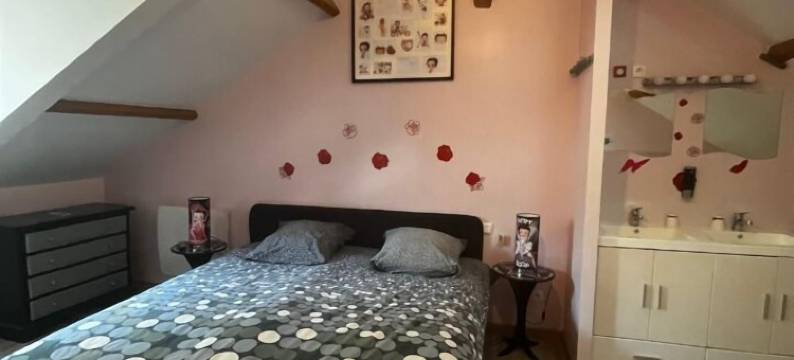 小庄园住宿加早餐旅馆(Le Petit Manoir)图片