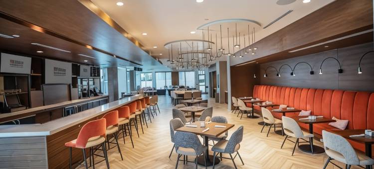 西棕榈滩I95 畅货中心希尔顿花园酒店(Hilton Garden Inn West Palm Beach I95 Outlets)图片