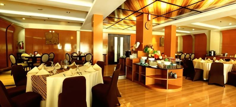 日惹罗斯茵酒店(Ros-in Hotel)图片