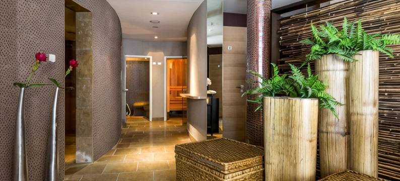 西塞城艺术家宿舍酒店(Hotel Künstlerquartier Seezeichen)图片