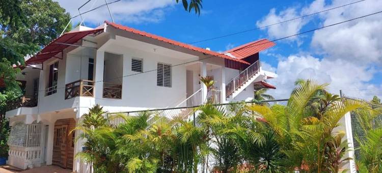 Great Palm View - Apartment 3 in Villa Coconut图片