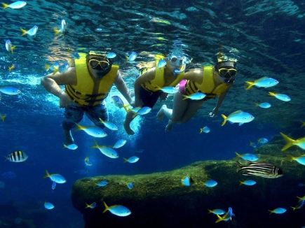 New Fall Travel Inspiration at Resorts World Sentosa