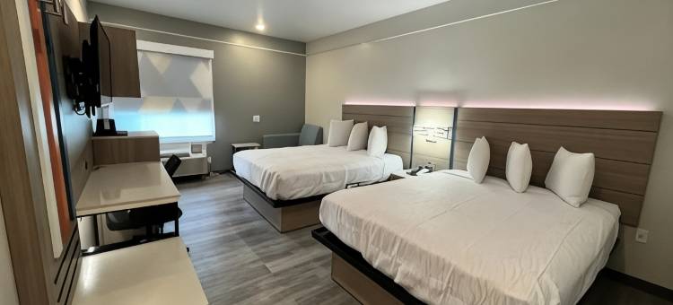 索内斯塔精选酒店休斯顿I-45春(Sonesta Essential Hotel Houston-I-45 Spring)图片