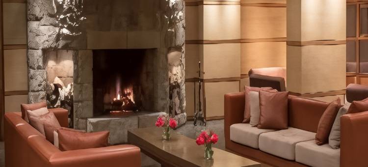 巴里洛切埃德尔威斯NH酒店(NH Bariloche Edelweiss)图片