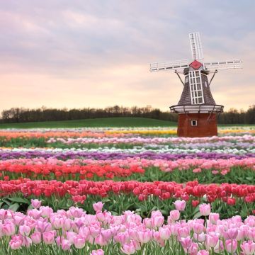 法国巴黎+布鲁塞尔+阿姆斯特丹+科隆+卢森堡8日7晚私家团