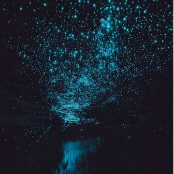 新西兰北岛+南岛13日12晚私家团