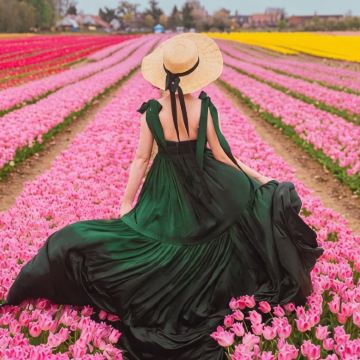 荷兰+比利时8日6晚拼小团