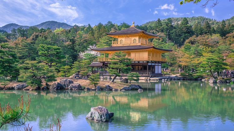 日本东京+银山温泉+藏王树冰6日5晚·安全+省心+20年+定制师专属服务 + 富士山网红双湖 + 穿越宫崎骏的童话世界+千与千寻+同款汤屋+银山温泉 + 东北秘境藏王树冰 + 每周发团 + 可申请升级大交通